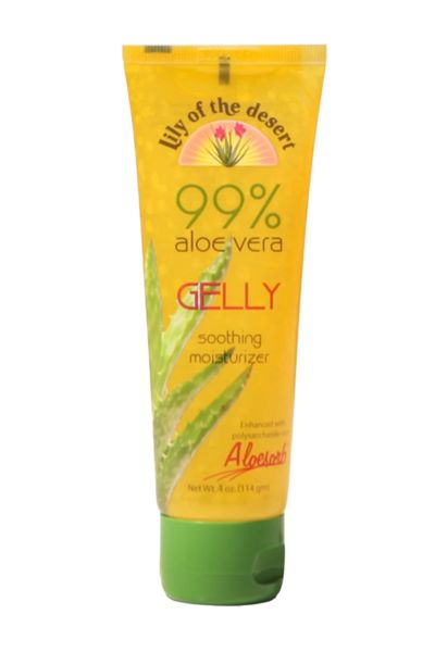 aloe vera lily of the desert